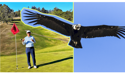  Condor Trong Golf Là Gì?