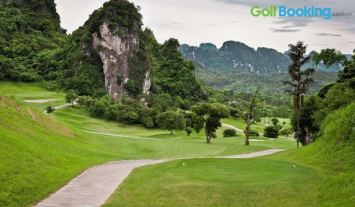 Đặt sân golf Phoenix 